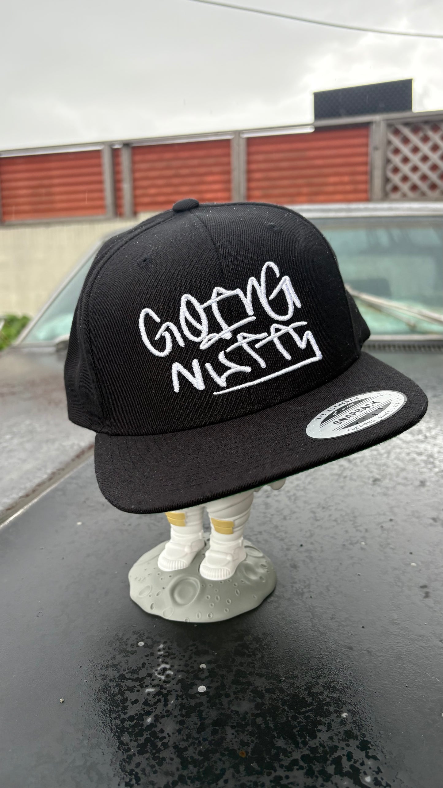 Going Nutts SnapBack